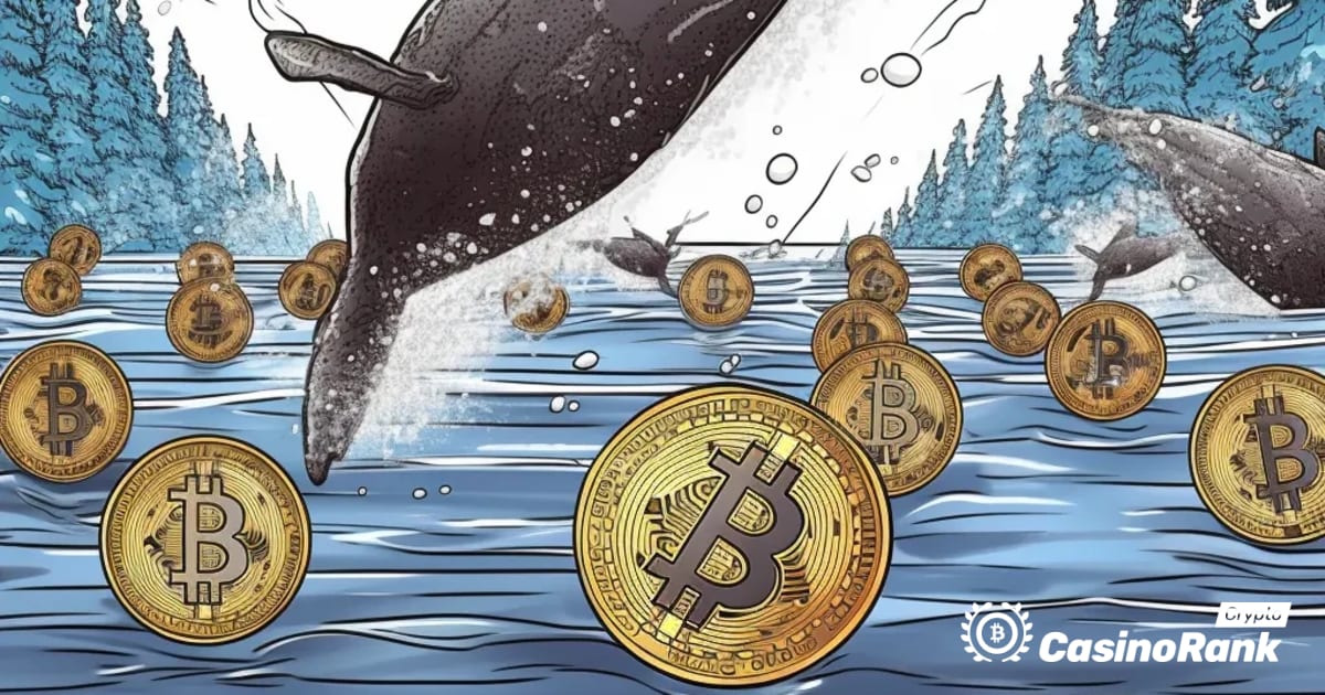 Walbewegungen auf dem Kryptowährungsmarkt: MATIC- und SOL-Tokens übertragen