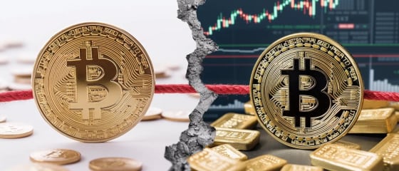 Die Volatilität und Zukunft von Bitcoin: Untersuchung des jüngsten Anstiegs und der Skepsis